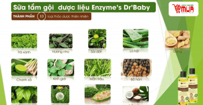 Bí mật về các thành phần thảo dược có trong Dầu tắm gội dược liệu Enzyme’s Dr’baby